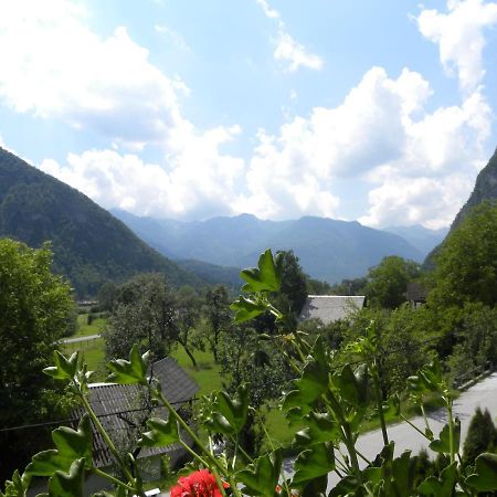 Apartma Cvetek, Srednja Vas 133 Bohinj Exteriör bild